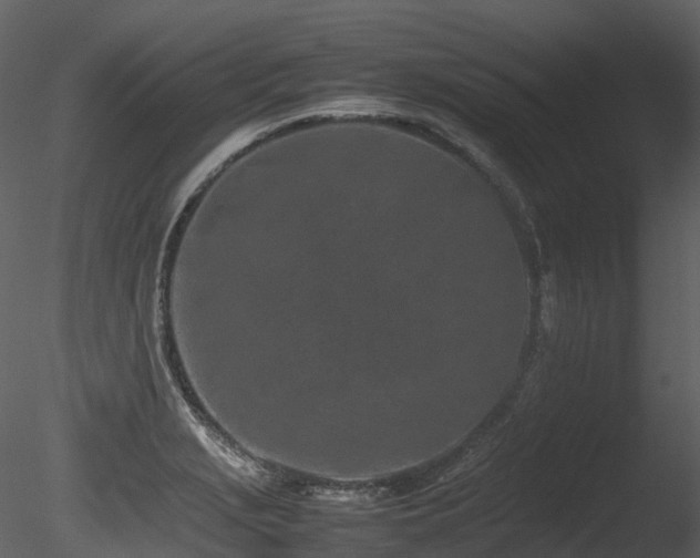 X0000085831229200703161315