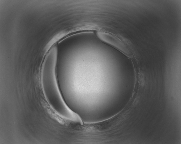 X0000085831230200703161315