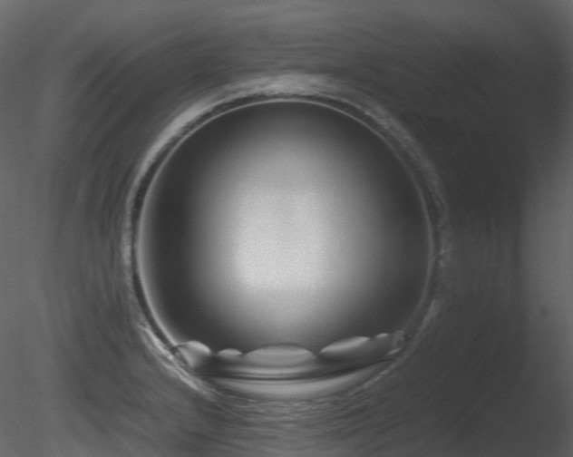 X0000085831232200703161315