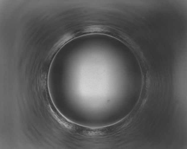X0000085831233200703161315