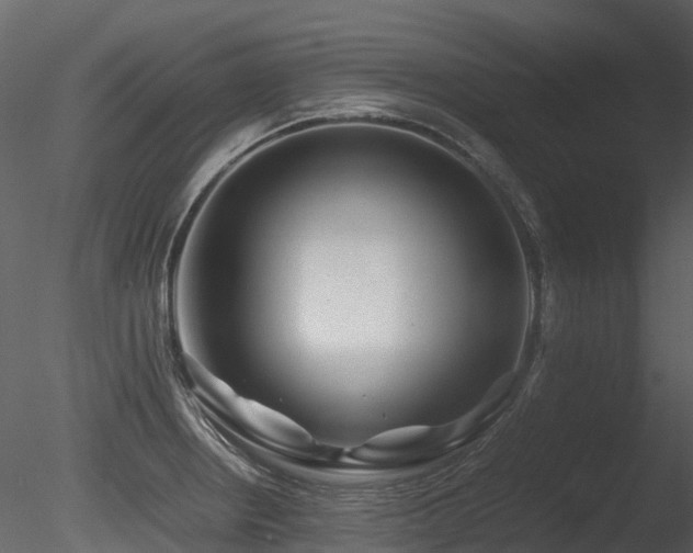 X0000085831234200703161315