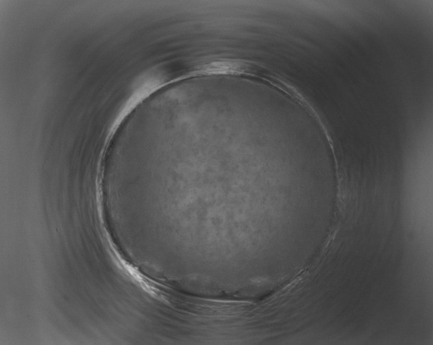 X0000085831235200703161315