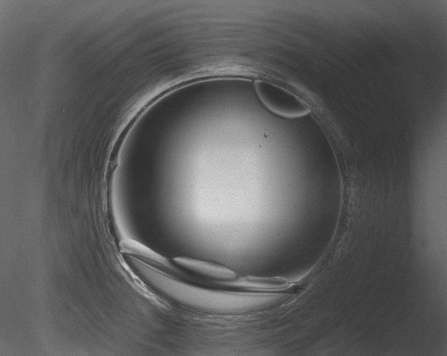 X0000085831236200703161315