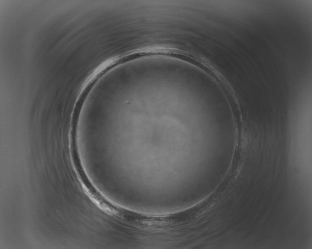 X0000085831237200703161315