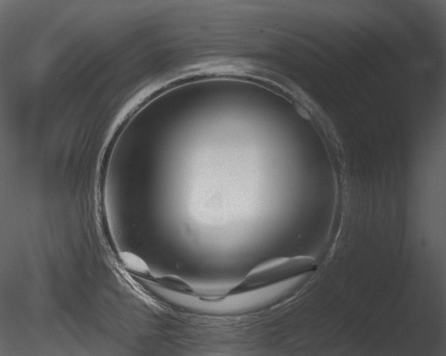 X0000085831240200703161315