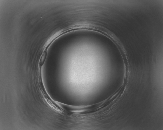 X0000085831242200703161315