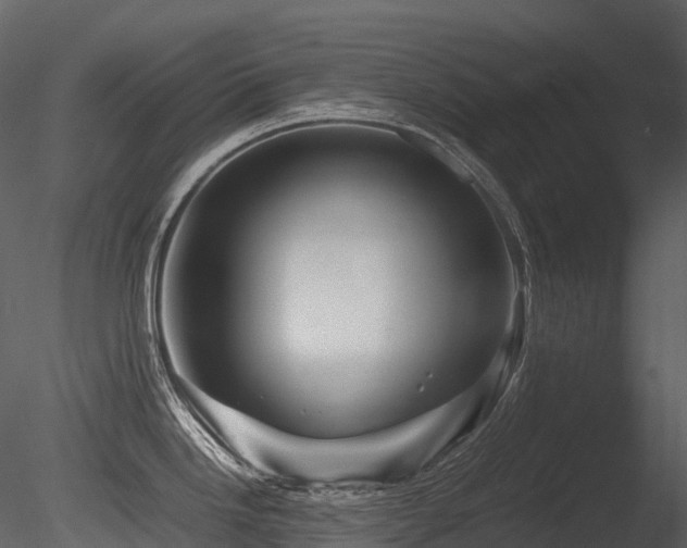 X0000085831246200703161315