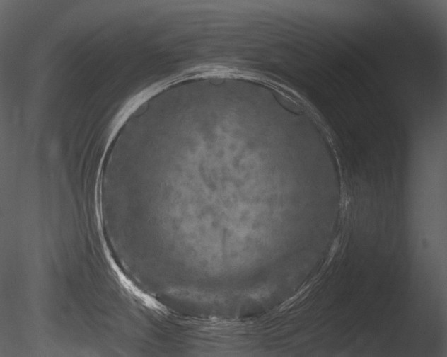 X0000085831247200703161315