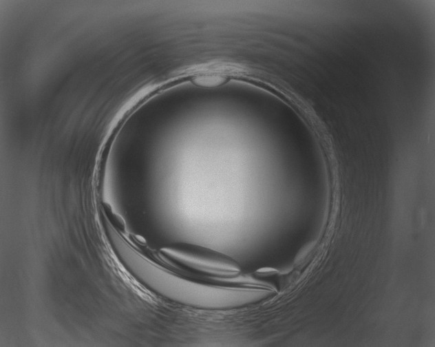 X0000085831248200703161315