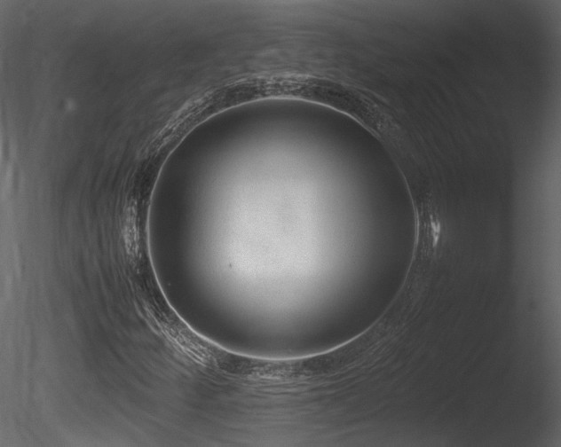 X0000085831252200703161314