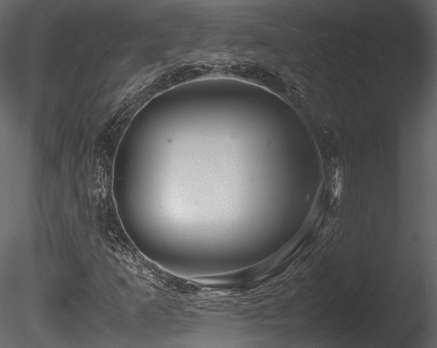 X0000085831253200703161314