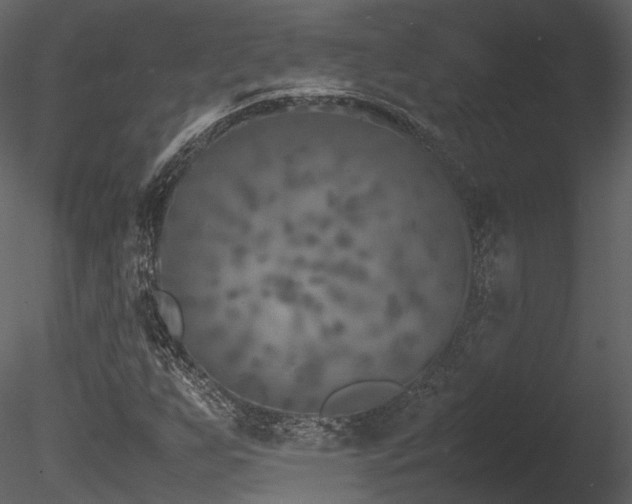 X0000085831255200703161314