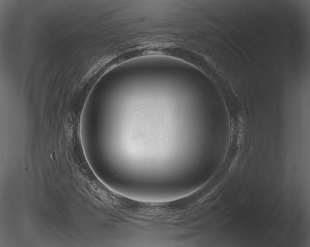 X0000085831257200703161314