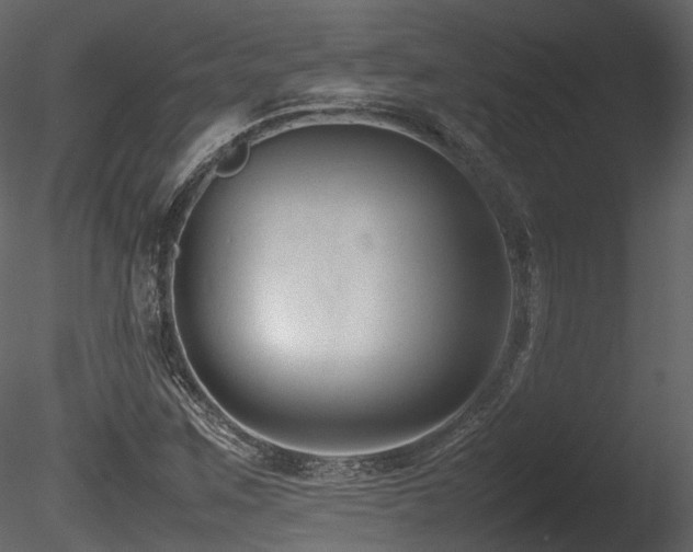 X0000085831259200703161314