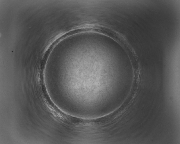 X0000085831260200703161314