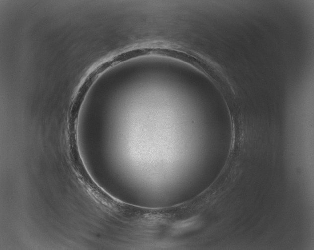 X0000085831264200703161314