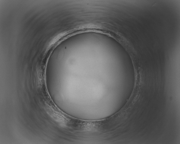 X0000085831266200703161314