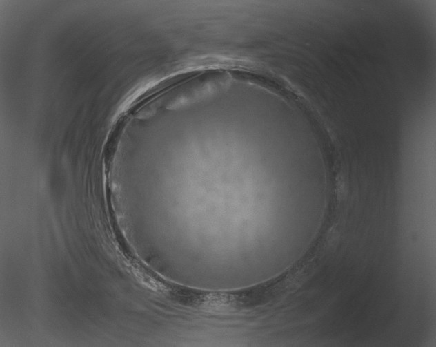 X0000085831267200703161314