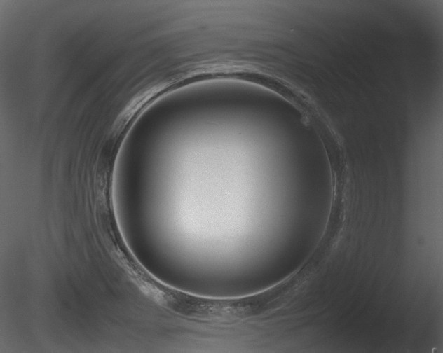 X0000085831273200703161314
