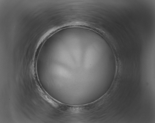 X0000085831278200703161314
