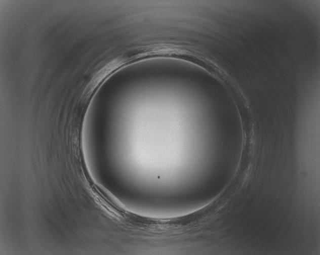 X0000085831281200703161314