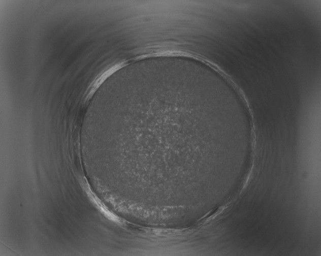 X0000085831289200703161314