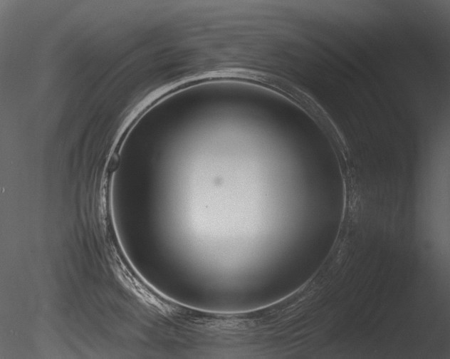 X0000085831292200703161314