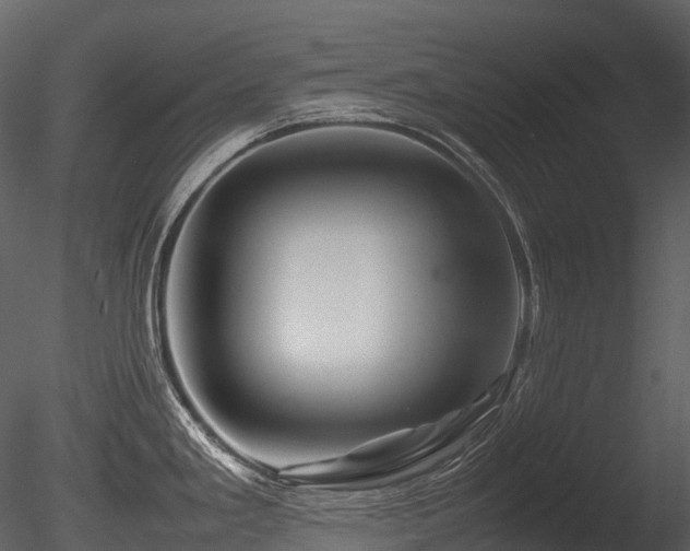 X0000085831293200703161314