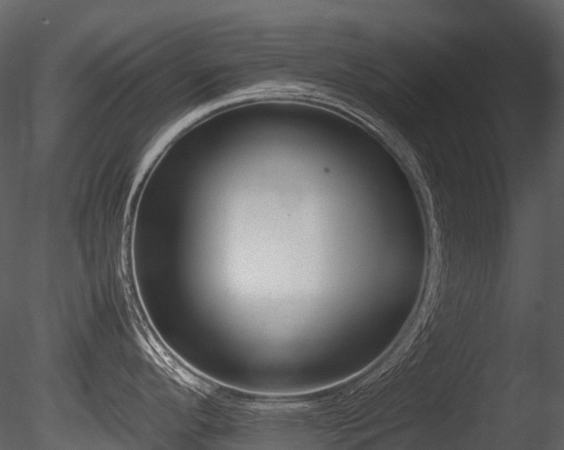 X0000085831296200703161314