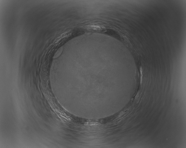 X0000085831297200703161313