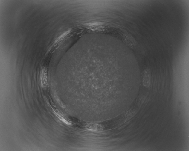 X0000085831298200703161313