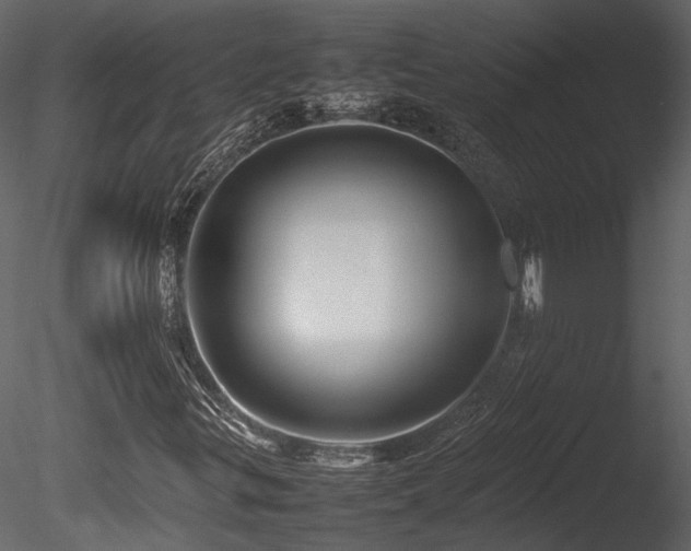 X0000085831299200703161313