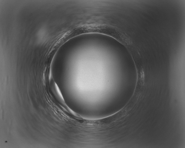 X0000085831300200703161313