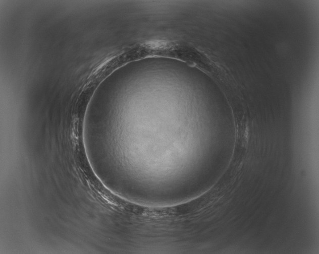 X0000085831301200703161313