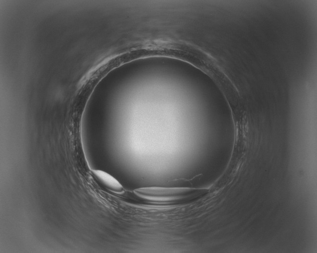 X0000085831304200703161313