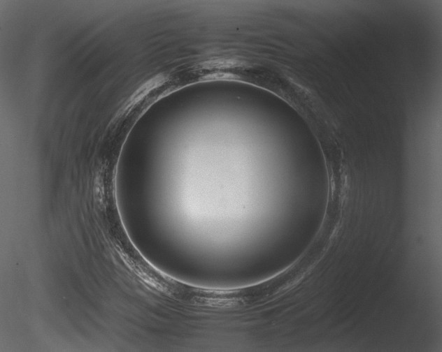 X0000085831305200703161313