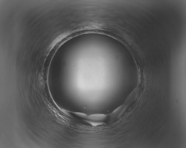 X0000085831308200703161313