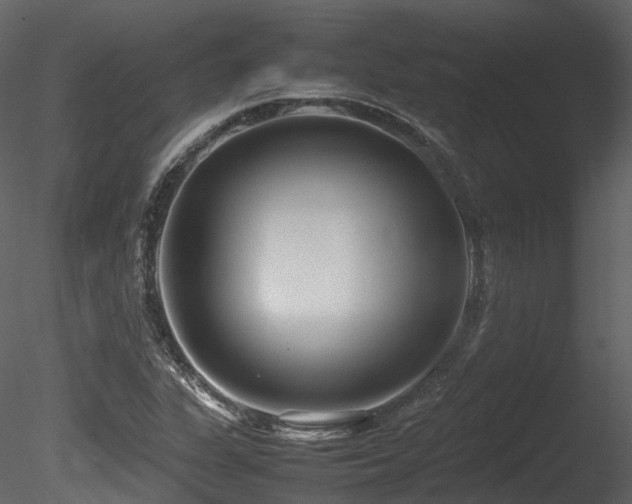X0000085831311200703161313
