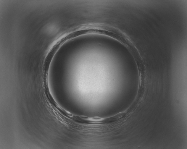 X0000085831312200703161313