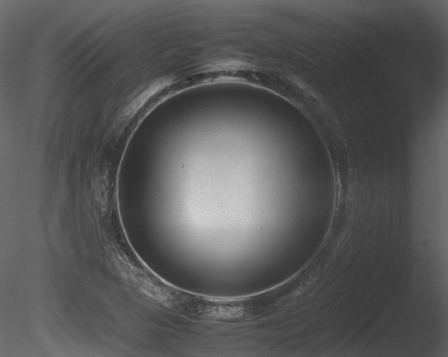 X0000085831313200703161313
