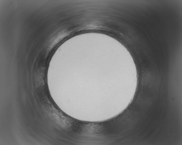X0000085831314200703161313