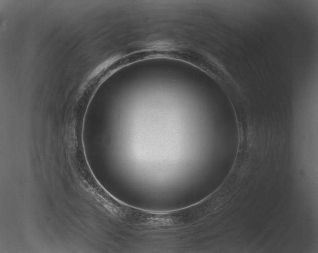 X0000085831315200703161313