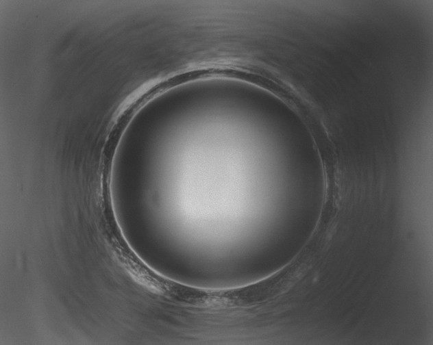 X0000085831316200703161313