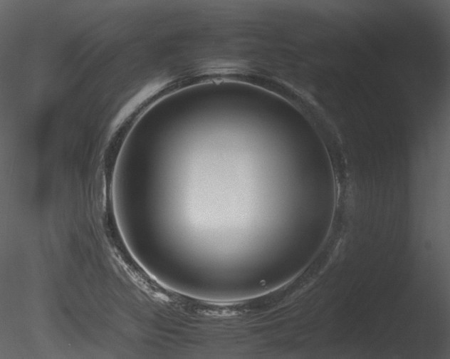 X0000085831317200703161313