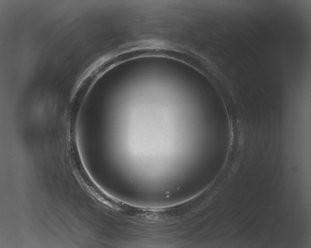 X0000085831318200703161313
