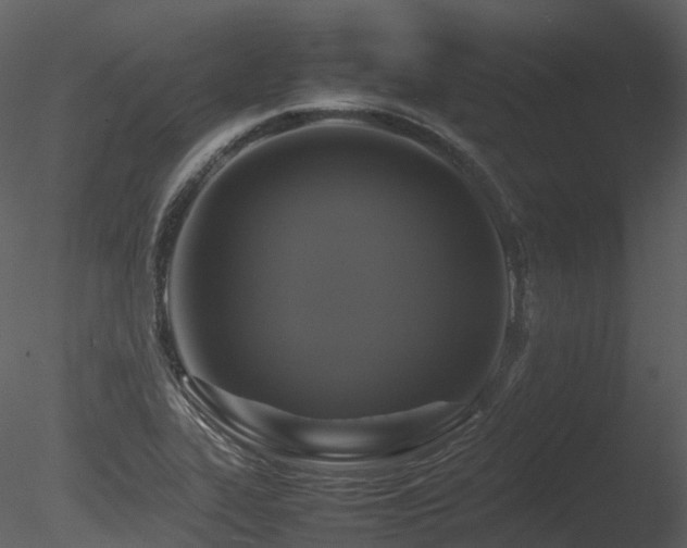X0000085831319200703161313