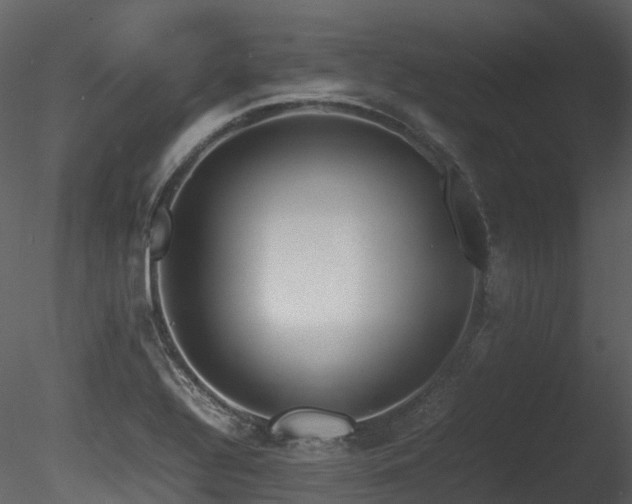 X0000085831320200703161313