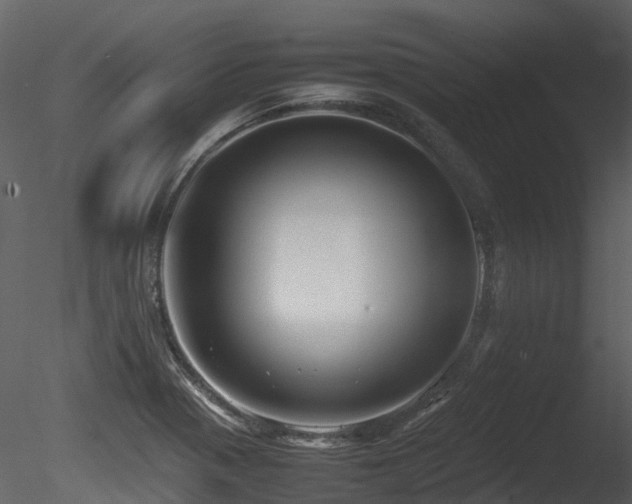 X0000085831321200703161313
