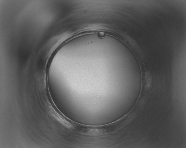 X0000085831322200703161313