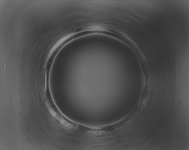 X0000085831323200703161313